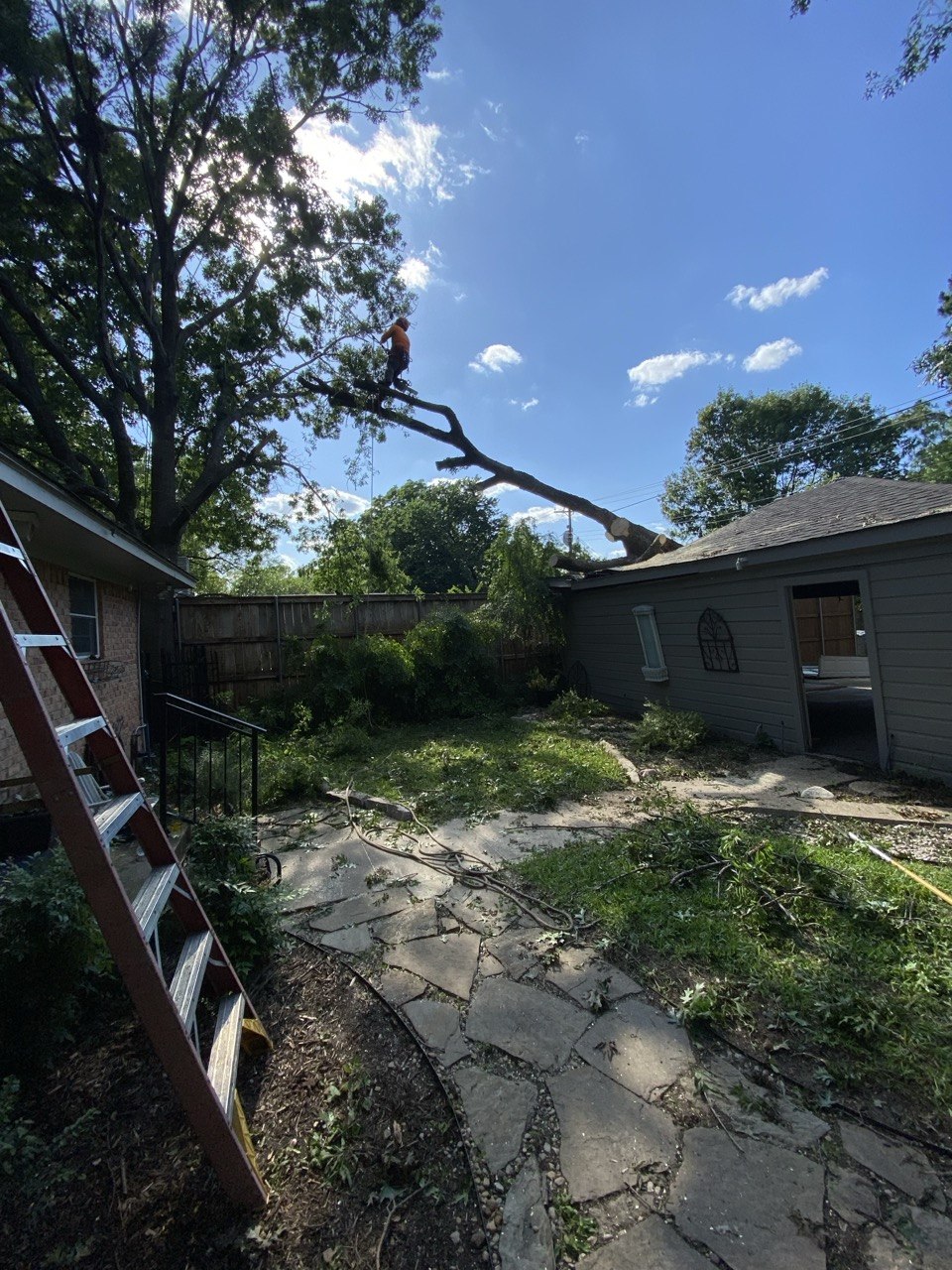Ovilla Tree Service crew working on a real tree service job in North Texas