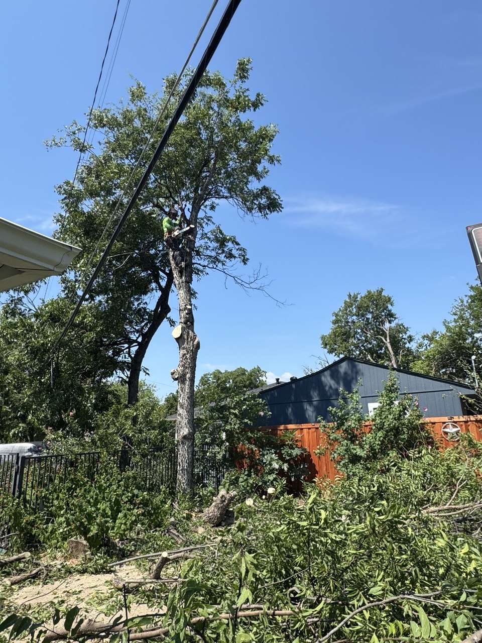 Ovilla Tree Service crew working on a real tree service job in North Texas