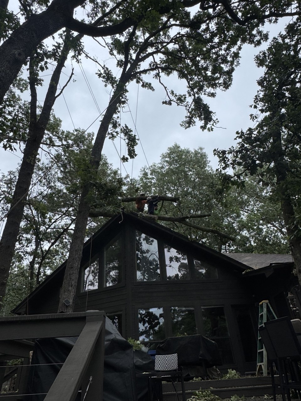 Ovilla Tree Service crew working on a real tree service job in North Texas