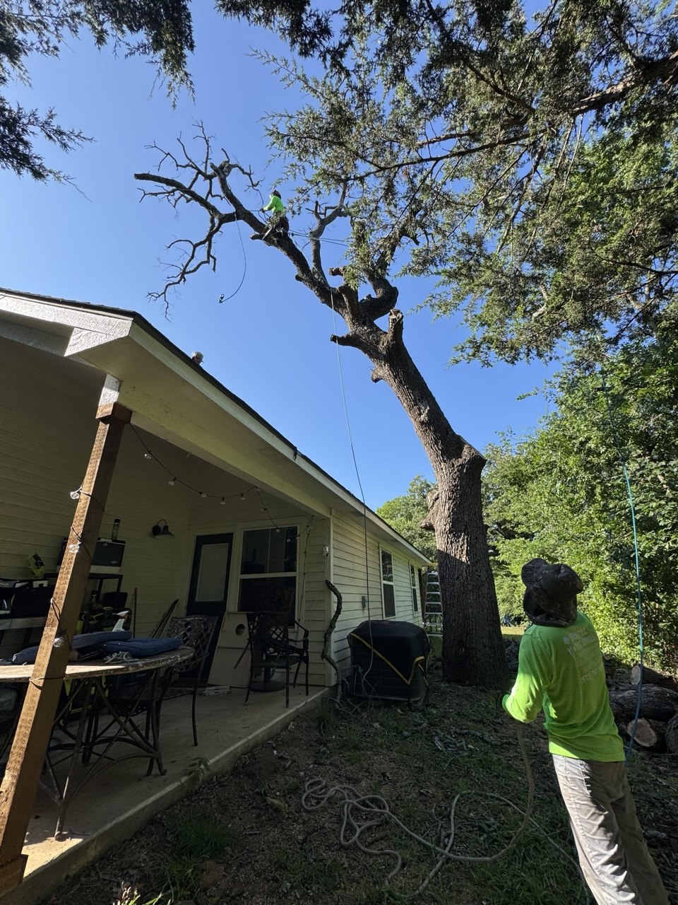 Ovilla Tree Service crew working on a real tree service job in North Texas