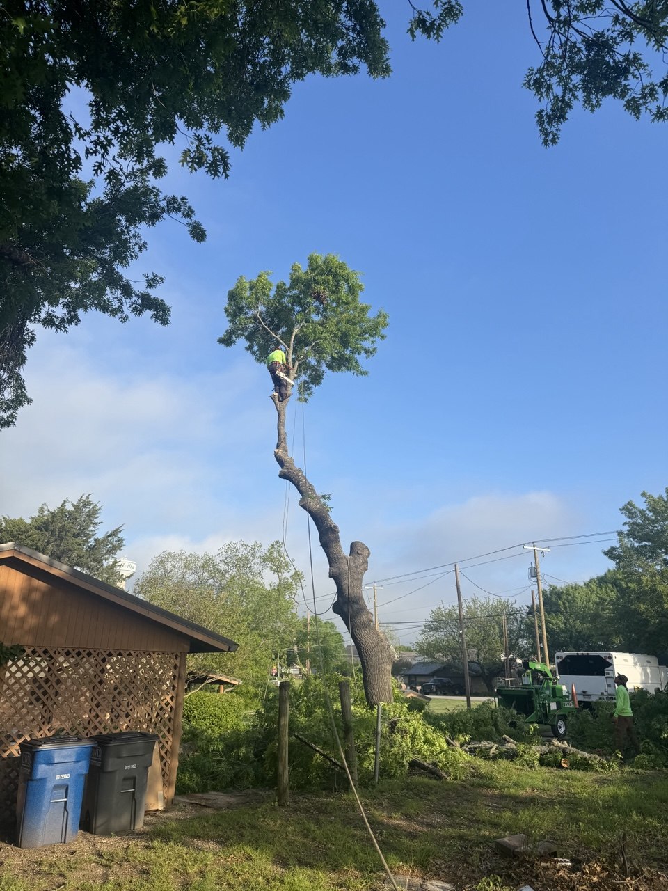 Ovilla Tree Service crew working on a real tree service job in North Texas