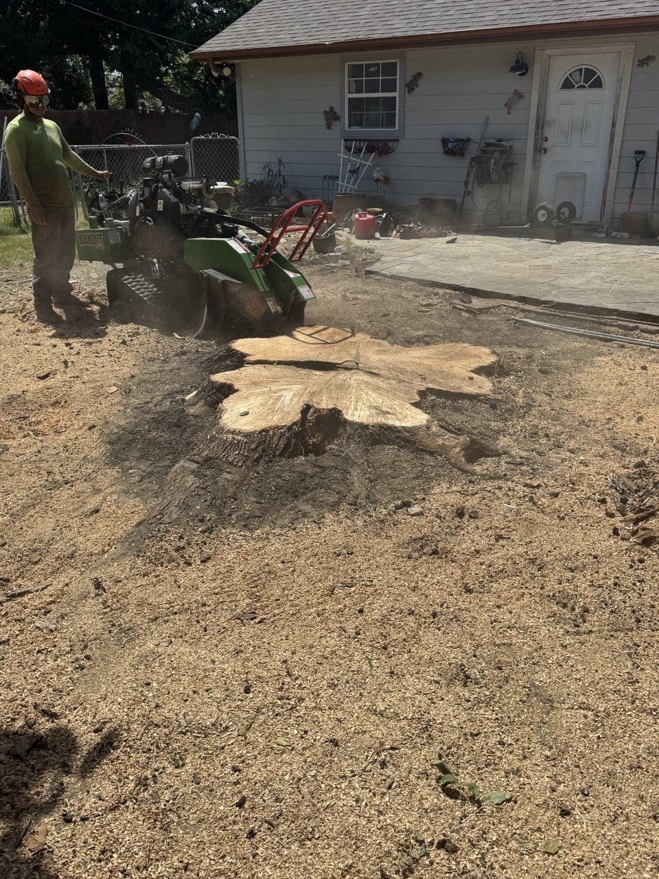 Ovilla Tree Service crew working on a real tree service job in North Texas