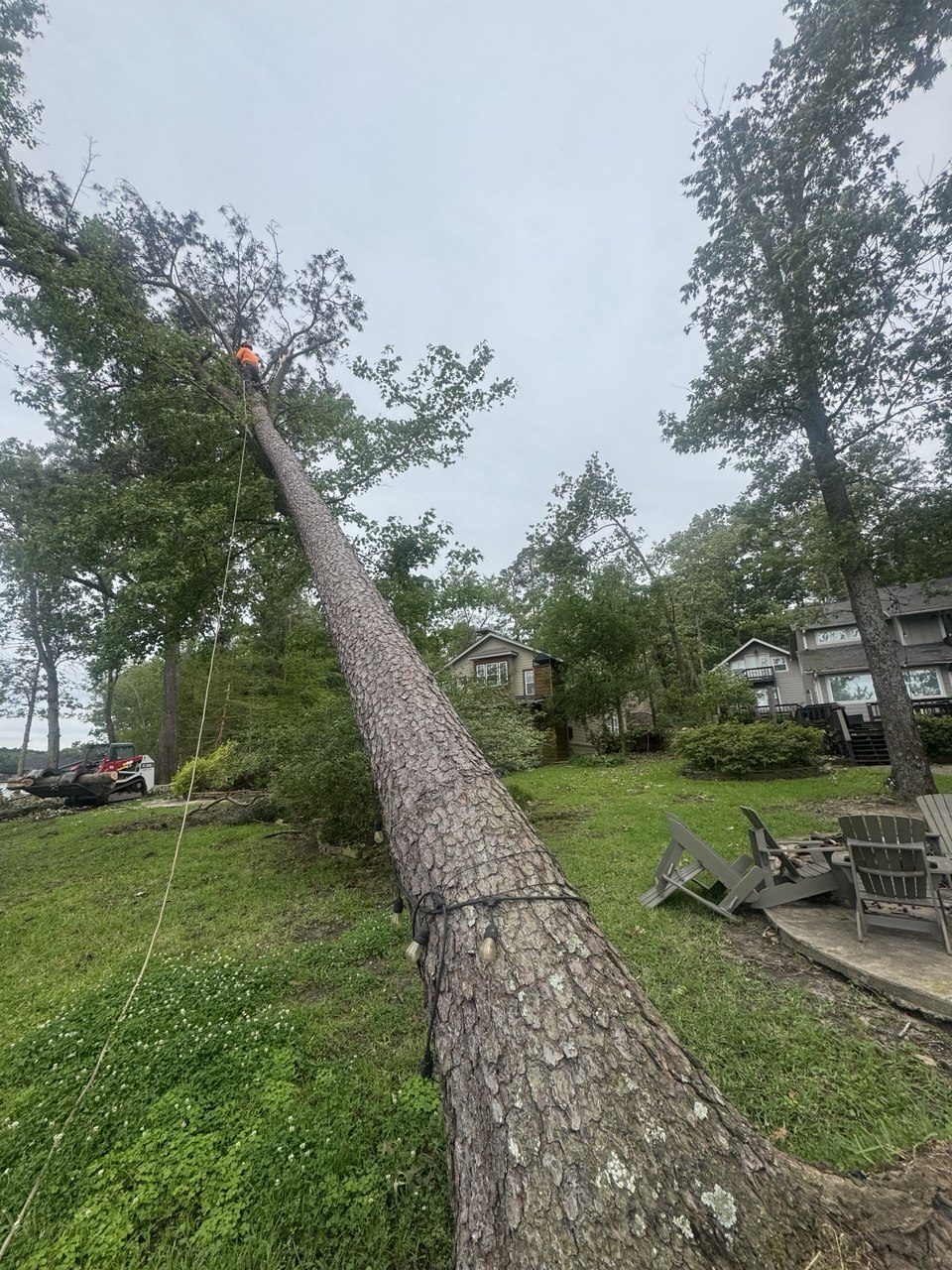 Ovilla Tree Service crew working on a real tree service job in North Texas